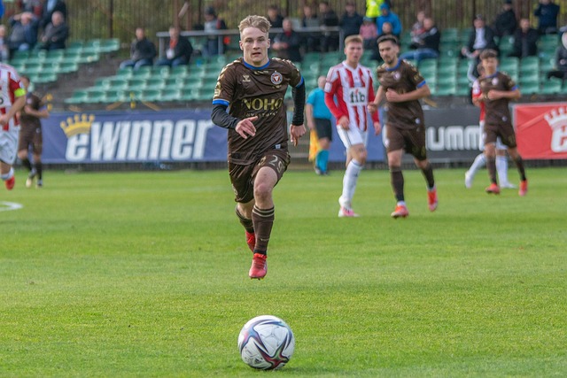 疑展示了法 疑展示了法